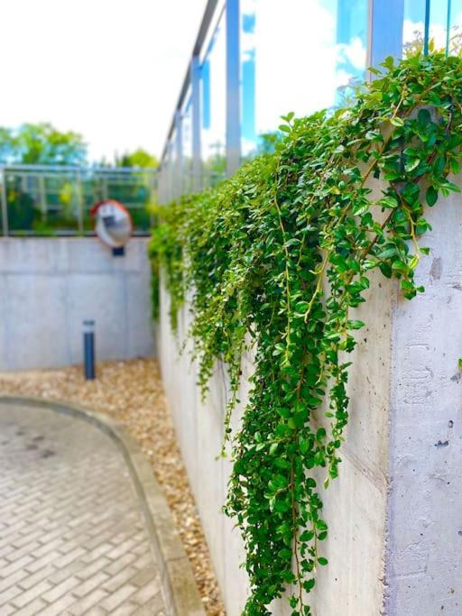 Apartament Smart Art :) Z Bezplatnym Parkingiem Podziemnym Kielce Zewnętrze zdjęcie