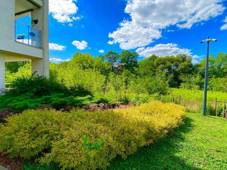 Apartament Smart Art :) Z Bezplatnym Parkingiem Podziemnym Kielce Zewnętrze zdjęcie