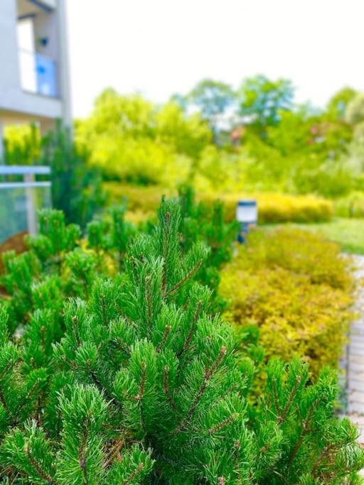 Apartament Smart Art :) Z Bezplatnym Parkingiem Podziemnym Kielce Zewnętrze zdjęcie